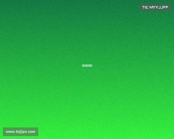 浙赛会员多少钱